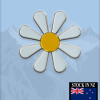 A round Daisy Fashion lapel pin featuring a colorful pride flag design. The pin has a shiny finish and a secure clasp, suitable for hats, ties, or jackets, pride and support.