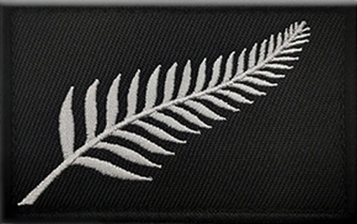 silver fern flag patch
