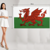 welsh disp