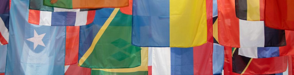 patchpinflag