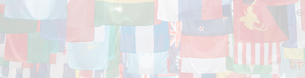 patchpinflag